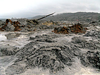 Coal Ash piles on Watts Bar Lake following the TVA coal ash disaster in December 2008