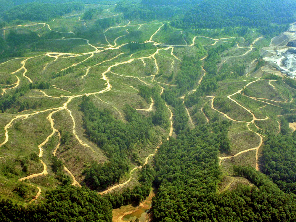 Mountaintop Removal 101 > Appalachian Voices